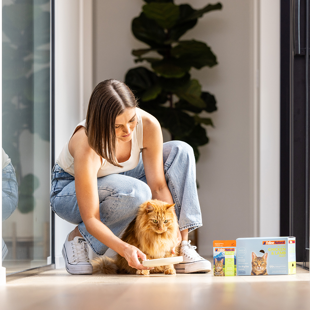 The Best Dog and Cat Food For Picky Eaters Feline Natural