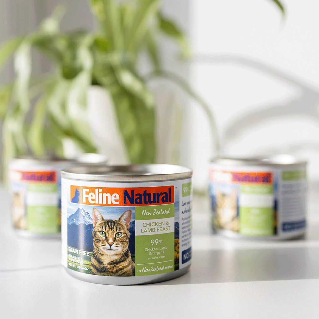 Feline natural canned discount food